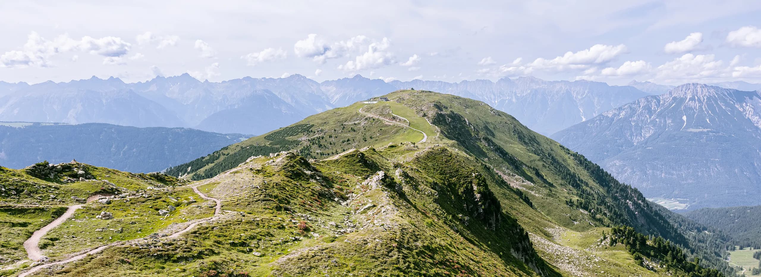 Biketrail am Hochzeiger inmitten grüner Berghänge